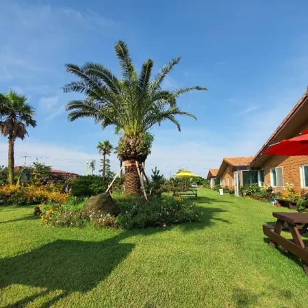 Jeju Healing Resort Отели рядом с достопримечательностью «Ботанический сад Панлимвон»