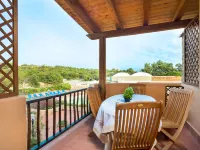 Bougainvillae Trilo Plus