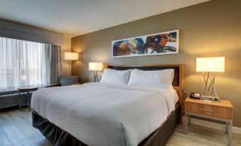 Holiday Inn & Suites Peoria at Grand Prairie