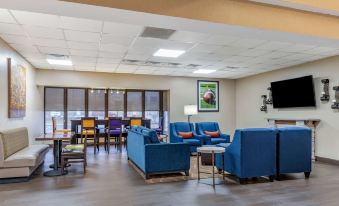Comfort Inn & Suites Clemson - University Area