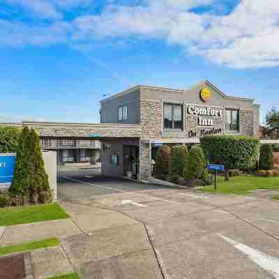 Comfort Inn on Raglan Hotel Exterior
