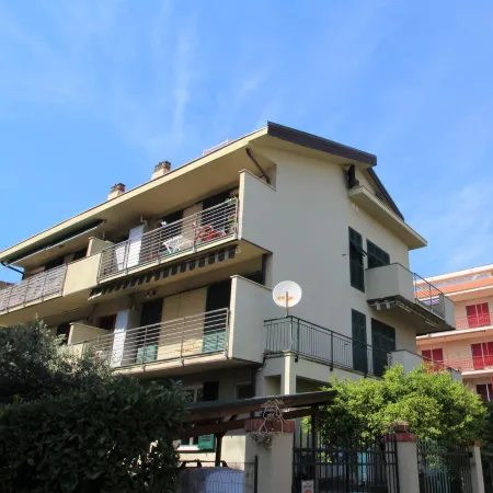 Brunetta