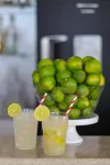Simas Praia Hotel - bar