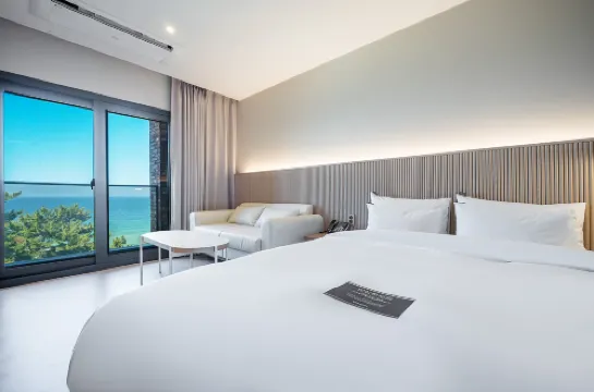 Gangneung Brown Dot Gangneung Gyeongpo