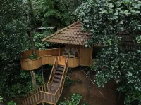 Planet Green Plantation Resorts, Wayanad, Kerala