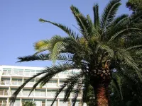 Luxotel Cannes Hotels in Cannes