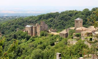 Vvf le Pays Cathare Carcassonne