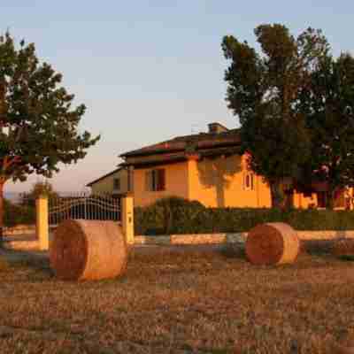 Il Nido di Gabbiano Hotel Exterior