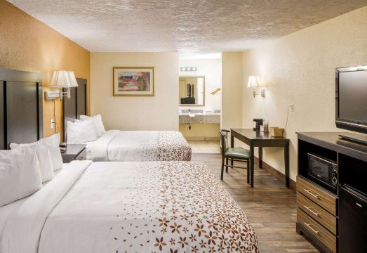 3. 아메리키나 인,..