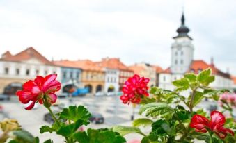 Hotel U Hada Žatec