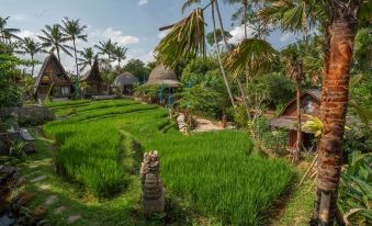 Menzel Ubud