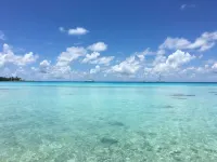 Pension Bounty Hotels in Rangiroa