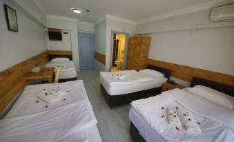 Otel Altay - Housity