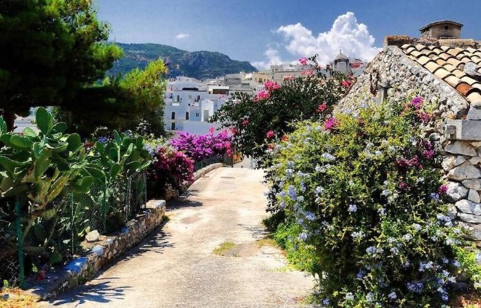 Apulia Bed&Breakfast