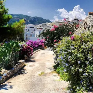 Apulia Bed&Breakfast
