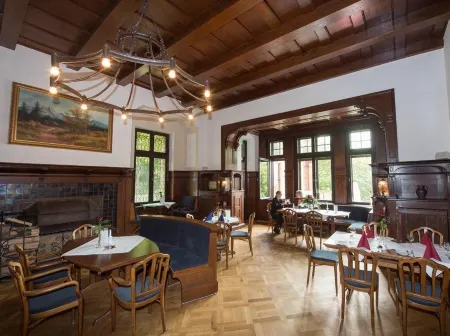 Schloss Hotel Wolfsbrunnen Отели в г. Бад-Зоден-Аллендорф