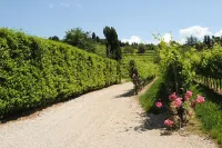 Agriturismo Giorgio Colutta Hotel di Buttrio