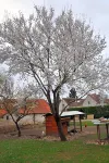 La Ferme de Flo' Hotels in Gravon