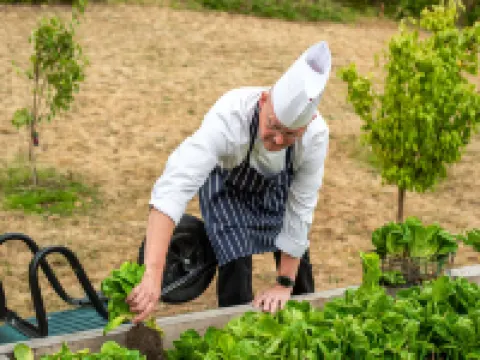 Hilton London Heathrow Airport Hotels in Hounslow