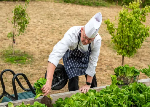 Hilton London Heathrow Airport