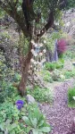 Yr  Hen Farcdy Bed & Breakfast Hotels in Penrhyndeudraeth