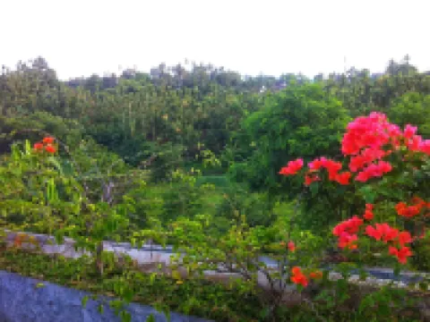 Aries Hotel Lampung - 2 ดาว