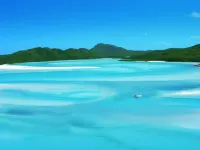 at Whitsunday Vista Holiday Apartments Hotels in Jubilee Pocket