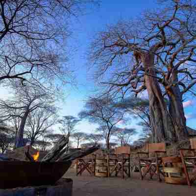 Asanja Ruaha Hotel Exterior