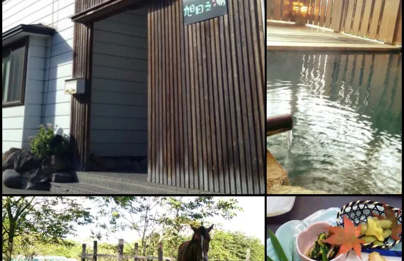 八幡平南温泉 旭日之湯