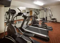 AmericInn by Wyndham Johnston des Moines - Træningscentre