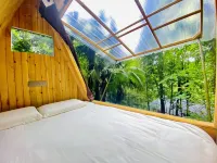 Dujiangyan Wuzhigu Homestay