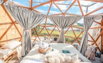 1000 Stars - Housity