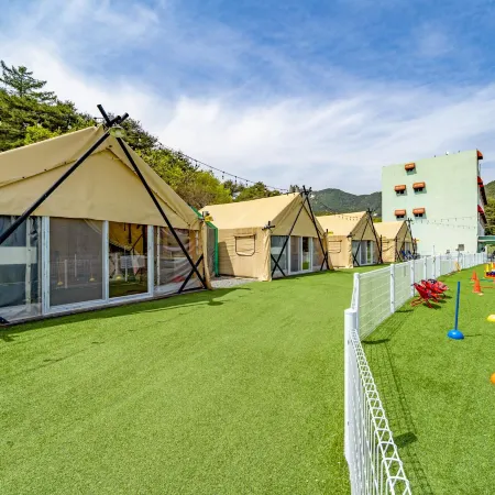 Cheongdo Shinnanda Aegyeon Glamping