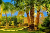 Holiday House Nido al Lido Suite