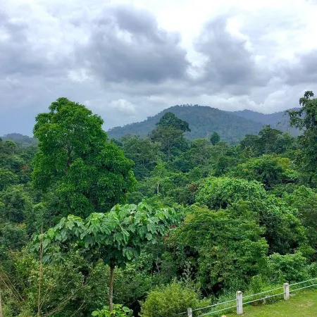 D View Hill Hotel