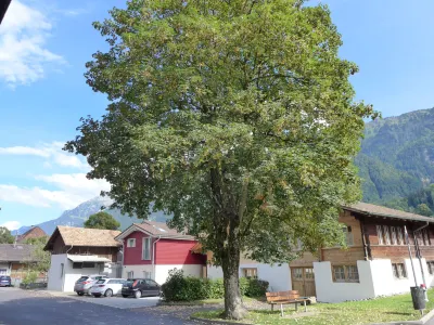 Tilia Hotels near Strandbad Bonigen