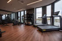 斯圖加特保時捷設計大廈-麗笙藍標酒店 - 健身室/gym room