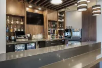 印第安納波利斯卡梅爾凱悦嘉軒酒店 - 酒吧
