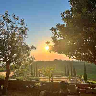 Laqua Vineyard Hotel Exterior