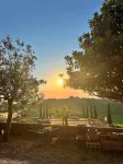 Laqua Vineyard Các khách sạn ở Peccioli