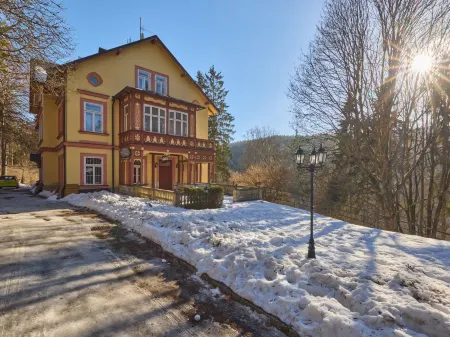 Villa Belvedere Отели в г. Янске-Лазне