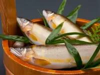 ホテル・ド・マロニエ下呂温泉