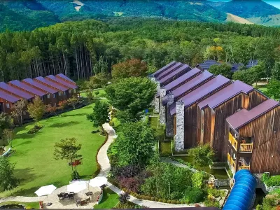 Hotel Sierra Resort Hakuba Hotel a 