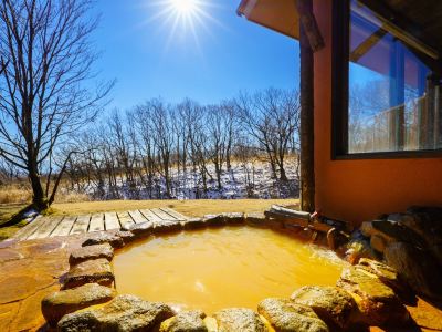 和洋式ガーデンビュースイート(浴室) レゾネイトクラブくじゅうの写真