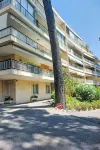 Les Pins d'Alep