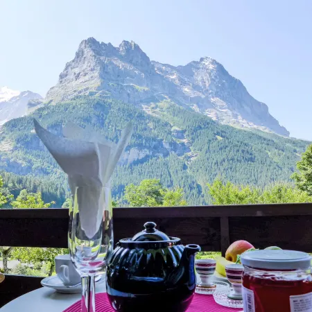 Chalet Mettli