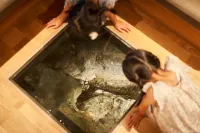 Natural Hot-Spring - Arifuku Onsen Yoshidaya - avec sources thermales