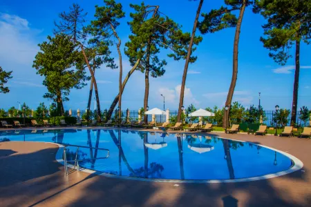 Kobuleti Georgia Palace Hotel & Spa Отели в г. Tskaltsminda