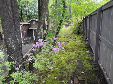 Pine Creek Treehouse