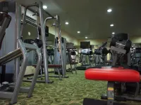 Sunbird Mount Soche - Gym